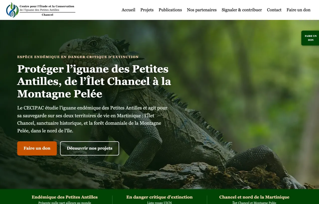 Site web CECIPAC réalisé par Passerelle
