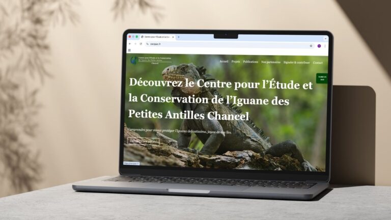 CECIPAC — Un écosystème digital au service du vivant
